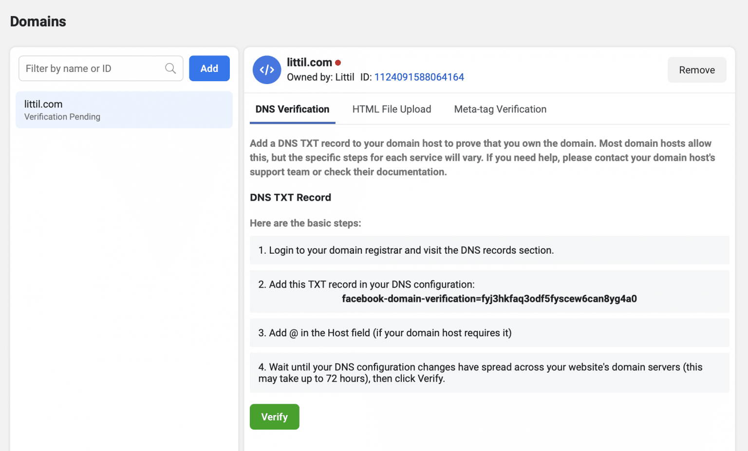 Domain record