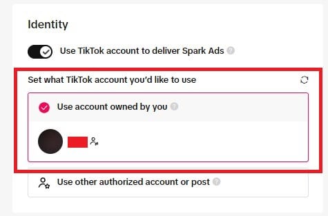 TikTok Spark Ads: owned account