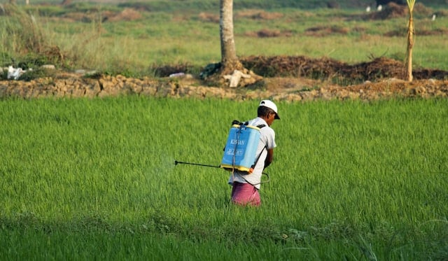 A farmer spraying pesticide in fields, Pest Control Advertising Agency.